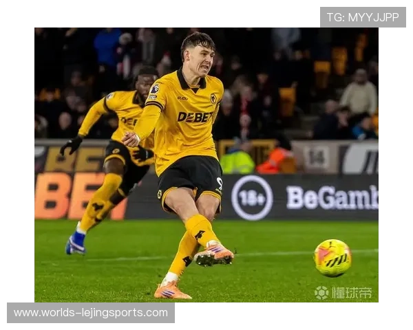 狼队保级动员会高层出席，老板承诺追加冬窗投资